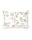 SCHLOSSBERG�������С���50x70�ѡ�IMA