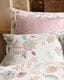 SCHLOSSBERG�������С���50x70�ѡ�IMA
