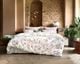 SCHLOSSBERG�������С���50x70�ѡ�IMA