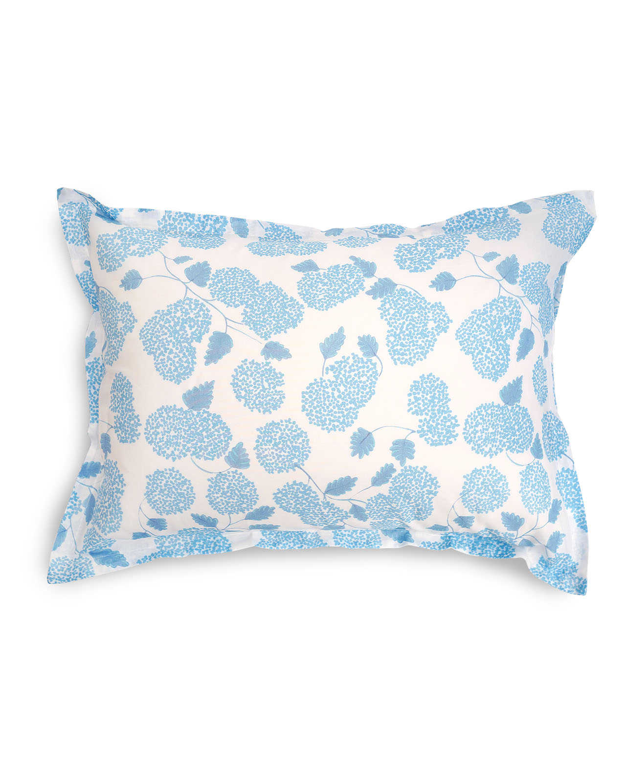 BAGNI VOLPI NOEMI�������С���50x70cm�å֥롼��FAIAL