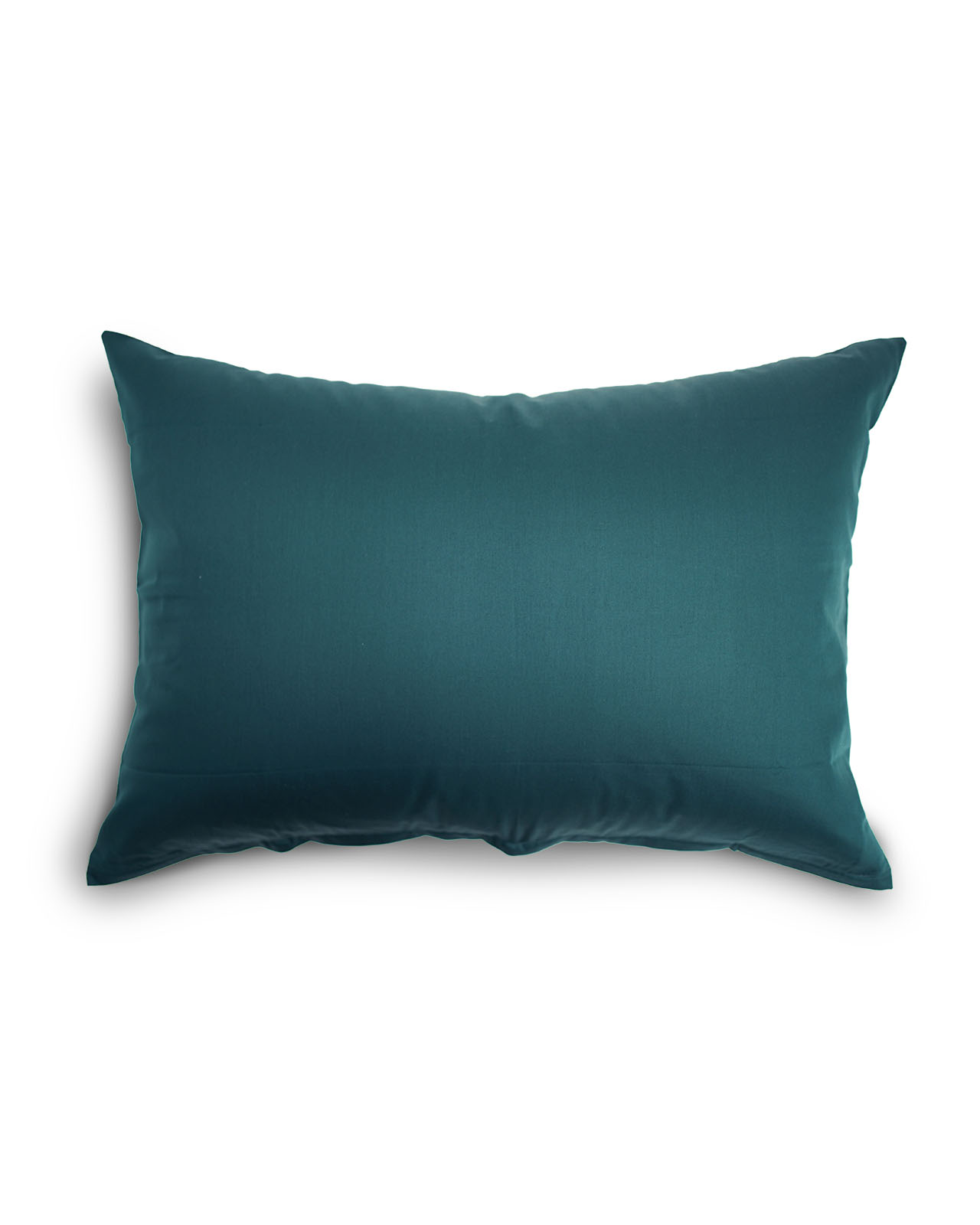 Estella�������С���50��70cm��RAPHAEL