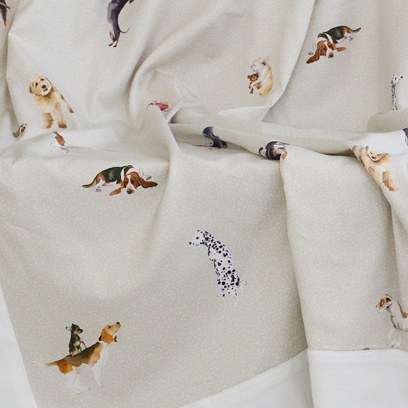 SCHLLOSSBERGå륱åȡBELLO N