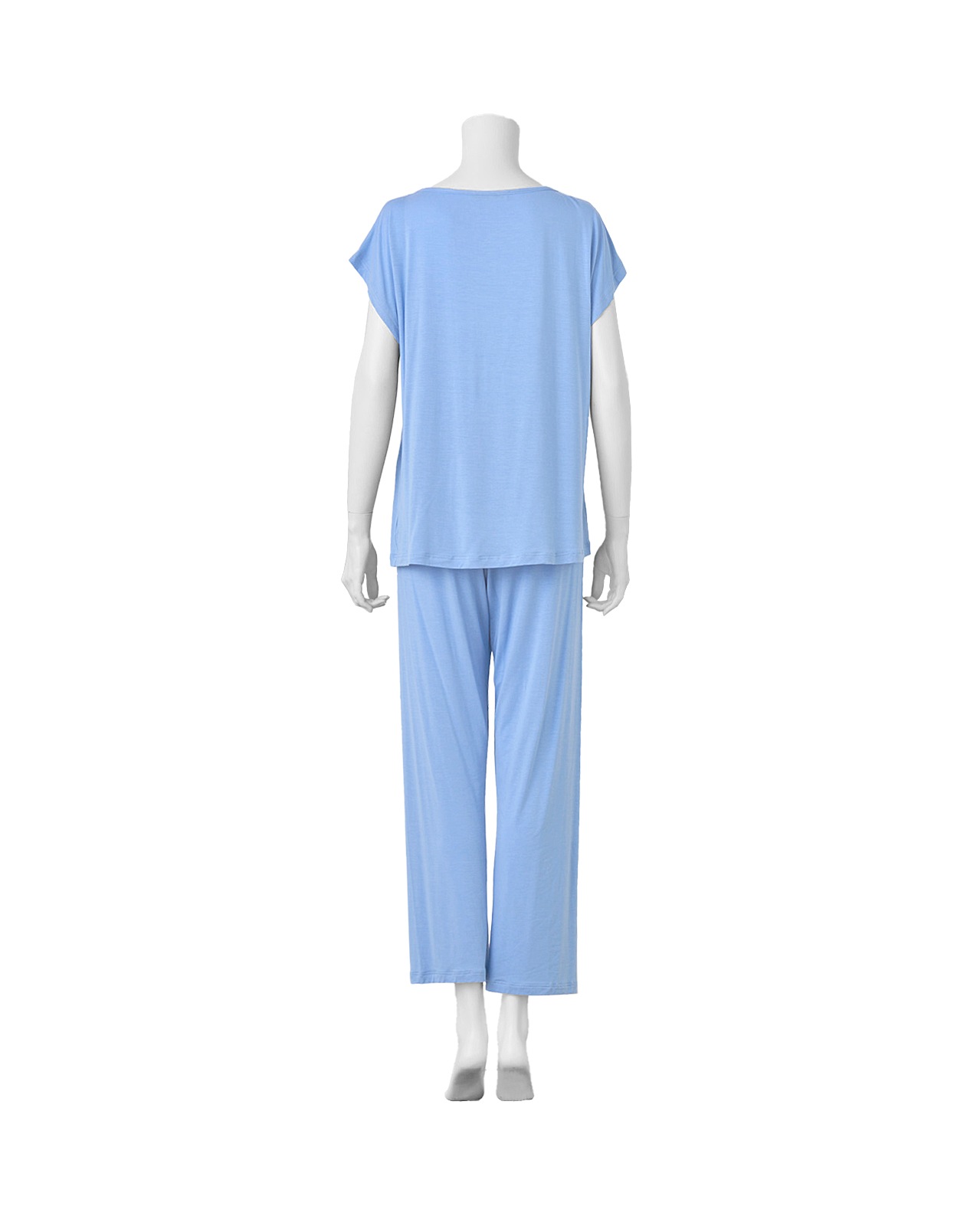 Verdiani�å������졼����������� �ѥ���ޡå֥롼��Ⱦµ