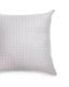 SIGNORIA�å���ƥ��� ���å���󥫥С���65x65cm�å��졼��MASACCIO
