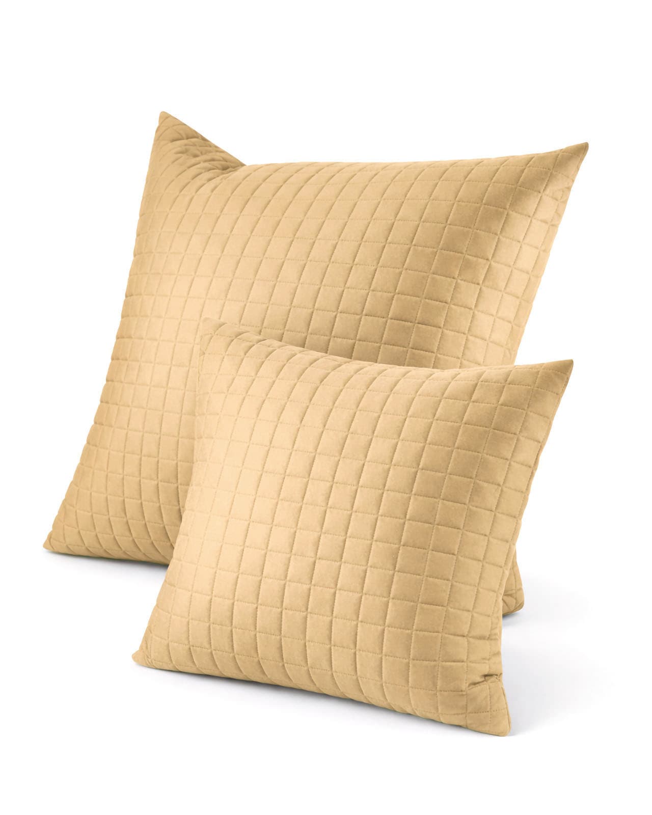SIGNORIA�å���ƥ��� ���å���󥫥С���65x65cm�å������MASACCIO