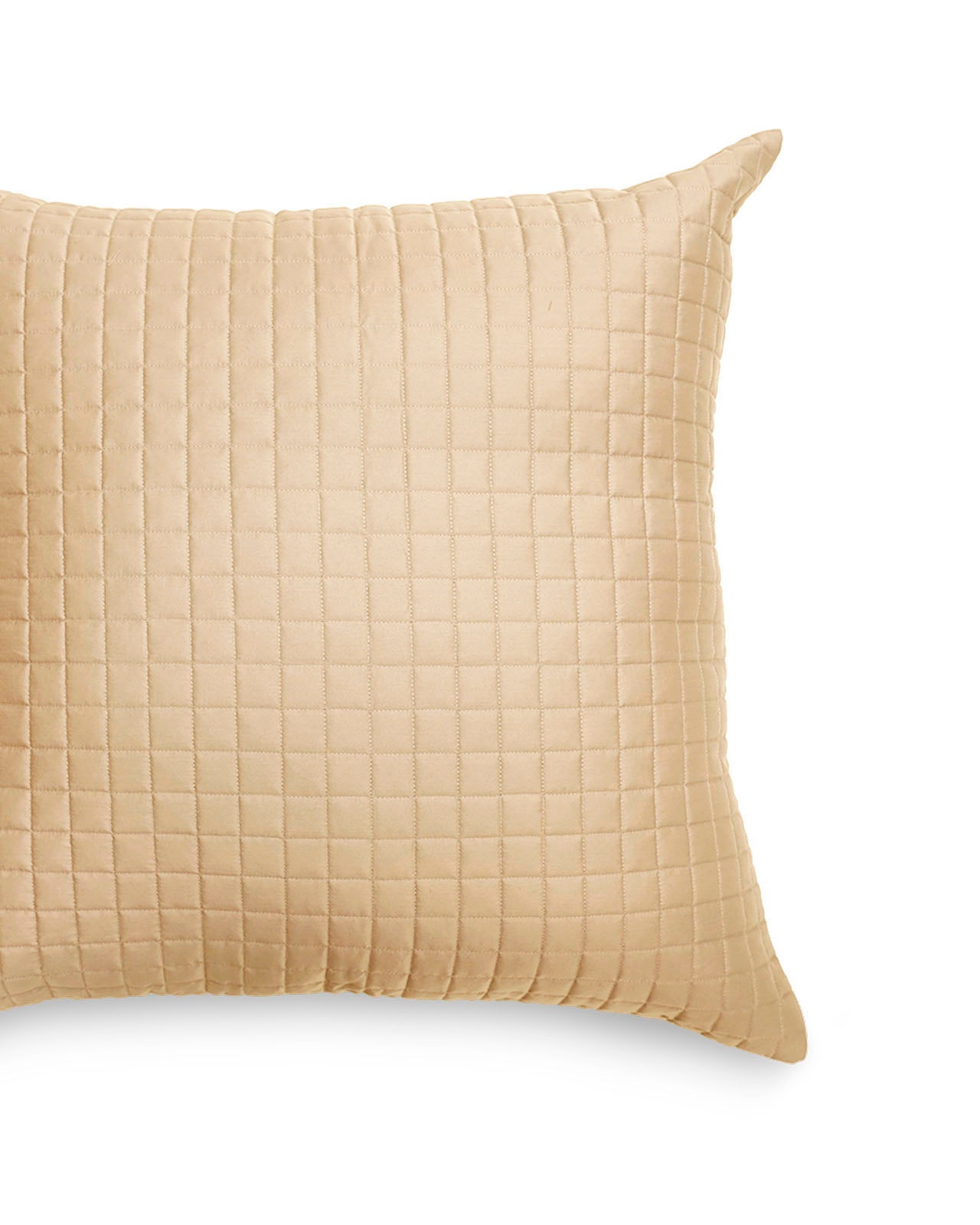 SIGNORIA�å���ƥ��� ���å���󥫥С���65x65cm�å������MASACCIO