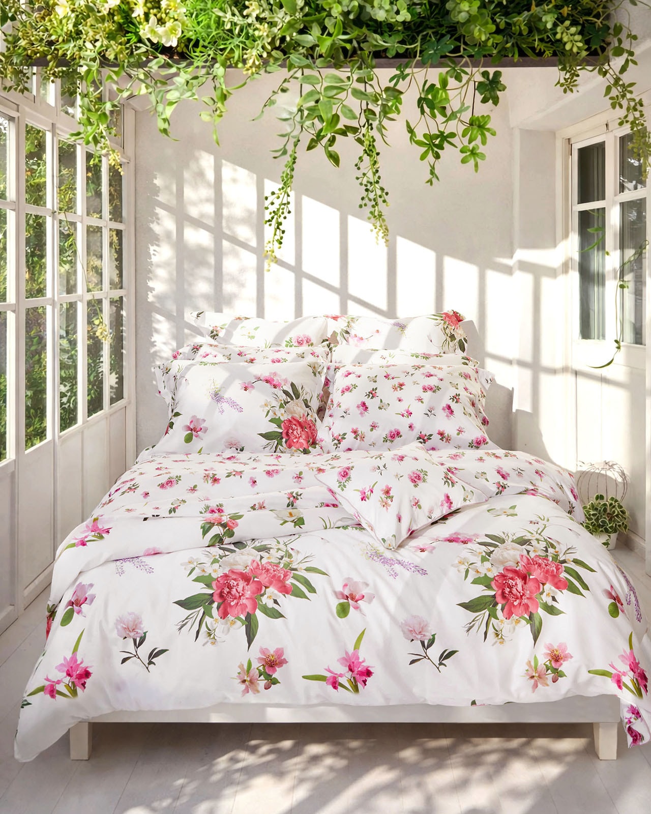 SIGNORIA | �����С���51��71cm�åۥ磻�ȡ�VIVACE SMALL