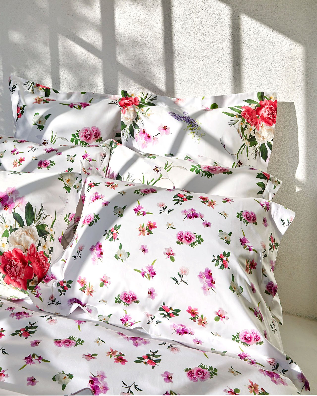 SIGNORIA | �����С���51��71cm�åۥ磻�ȡ�VIVACE SMALL