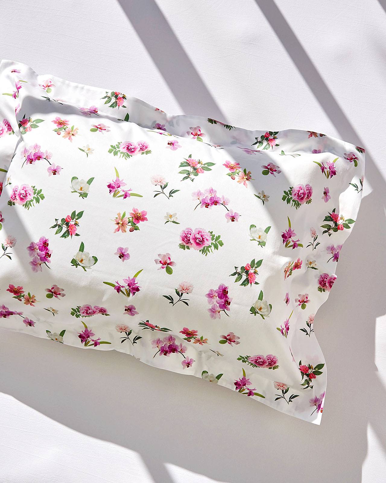 SIGNORIA | �����С���51��71cm�åۥ磻�ȡ�VIVACE SMALL