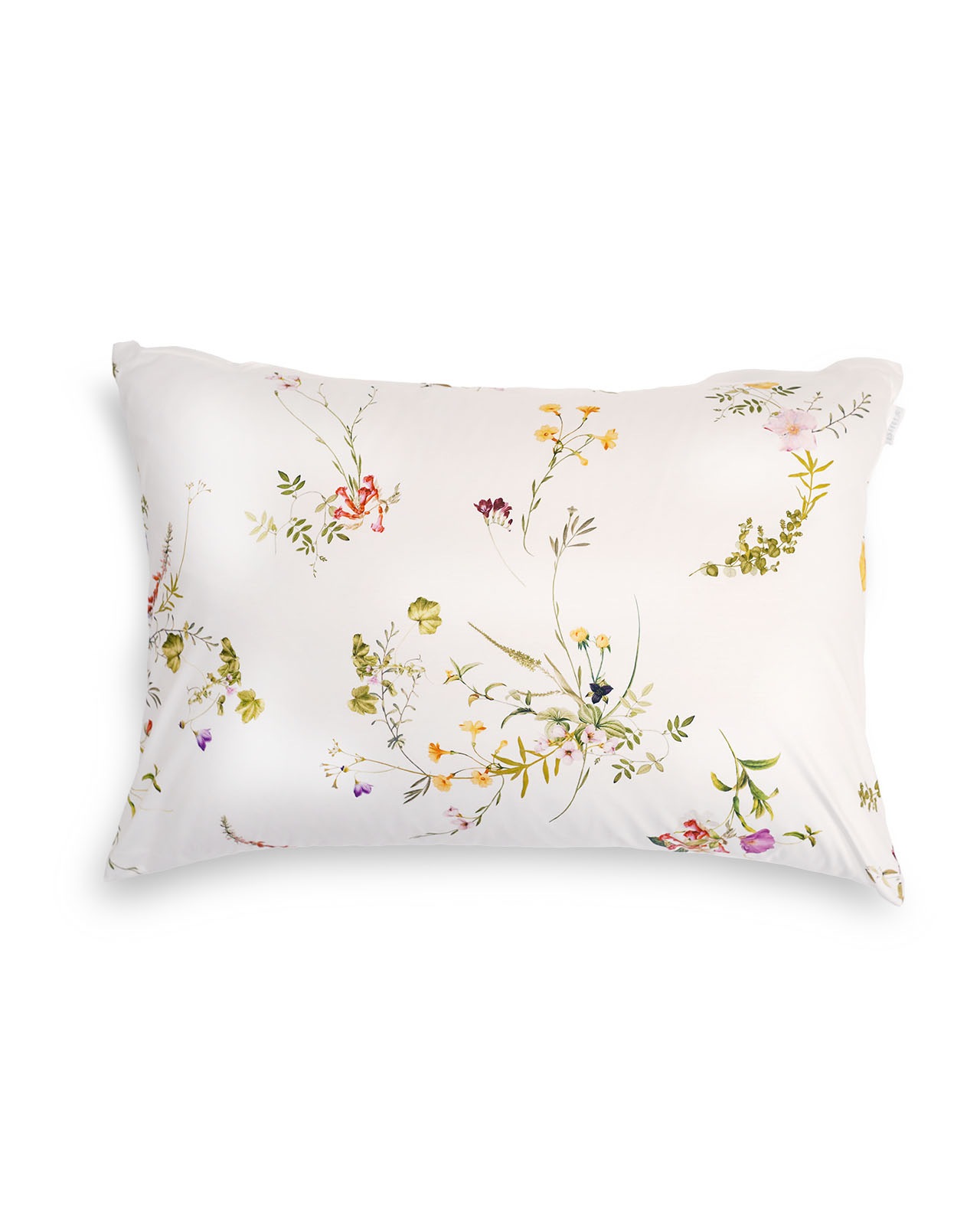 �ڥ���饤����� ��Estella�������С���50��70cm��LEONI