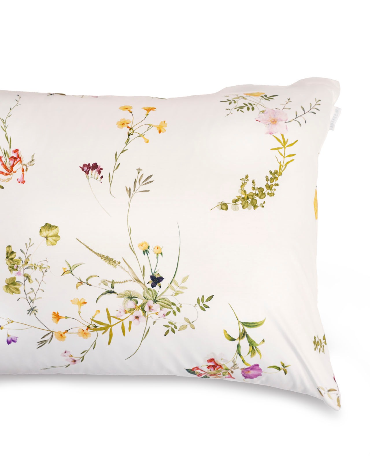 �ڥ���饤����� ��Estella�������С���50��70cm��LEONI