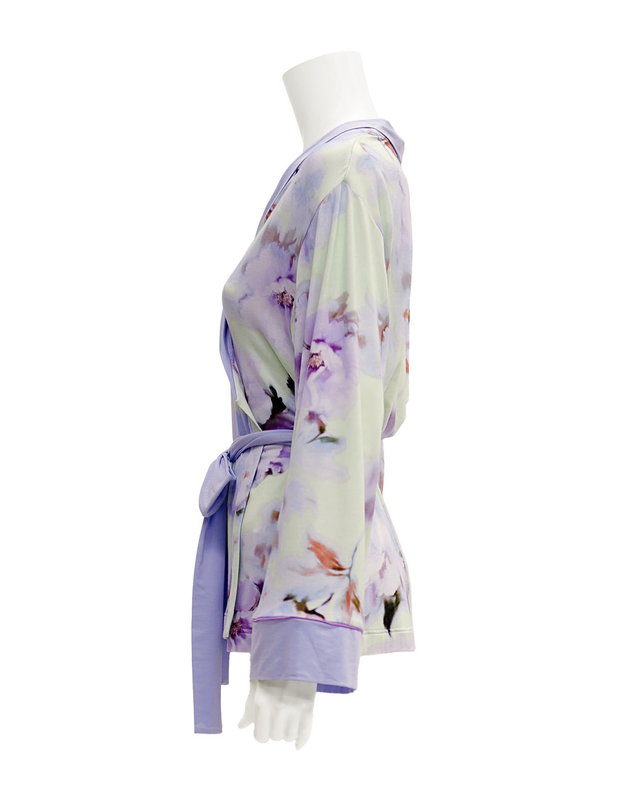 Verdiani�åե�����륢���� �������Ĺµ