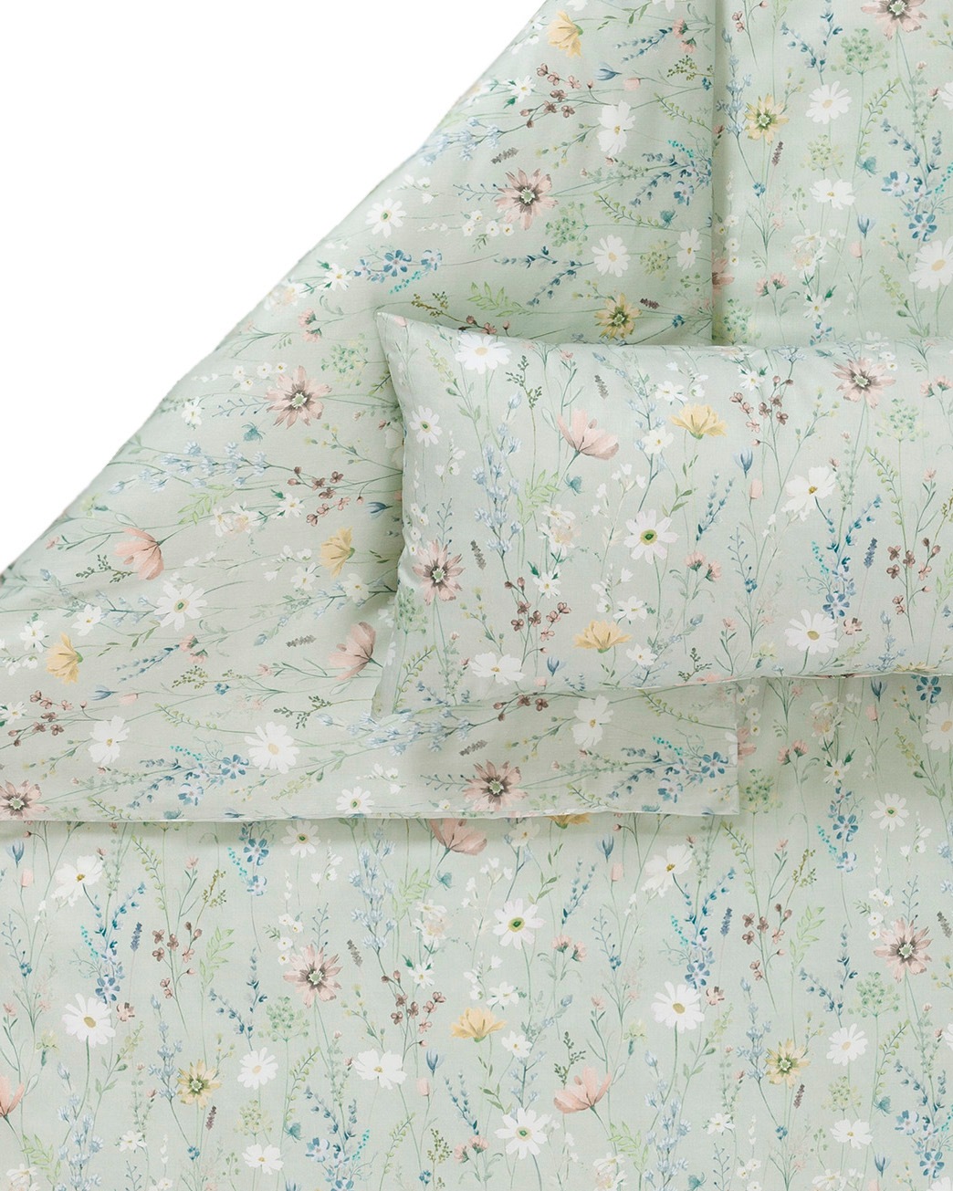 Estella�������С���50��70cm��CELESTE