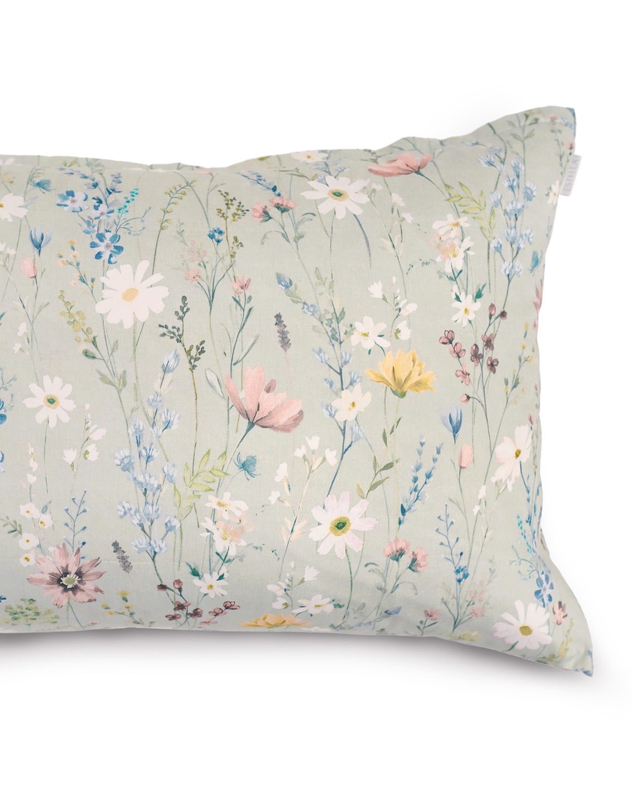 Estella�������С���50��70cm��CELESTE