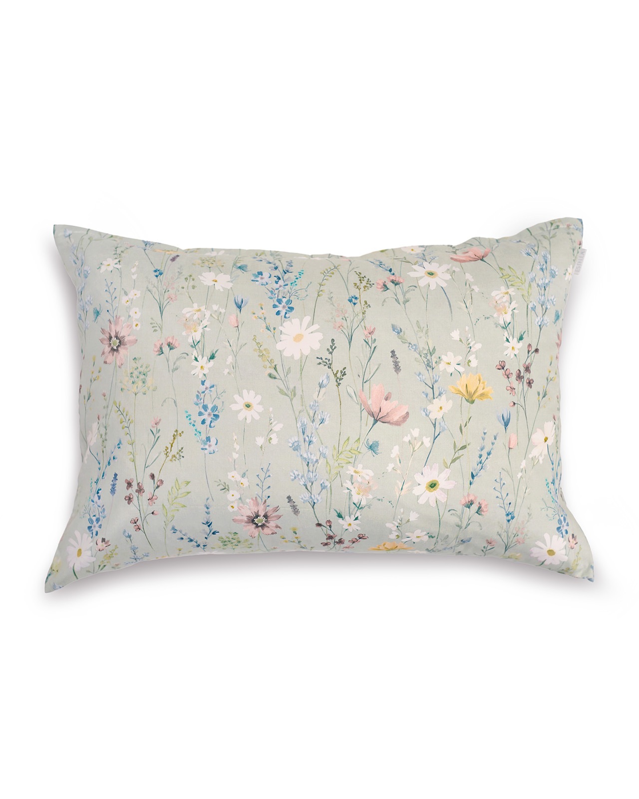 Estella�������С���50��70cm��CELESTE