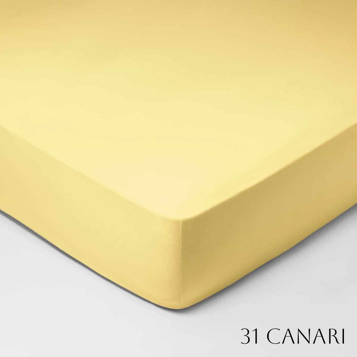 SCHLLOSSBERG�åե��åȥ����ġ�ROYAL FIX 