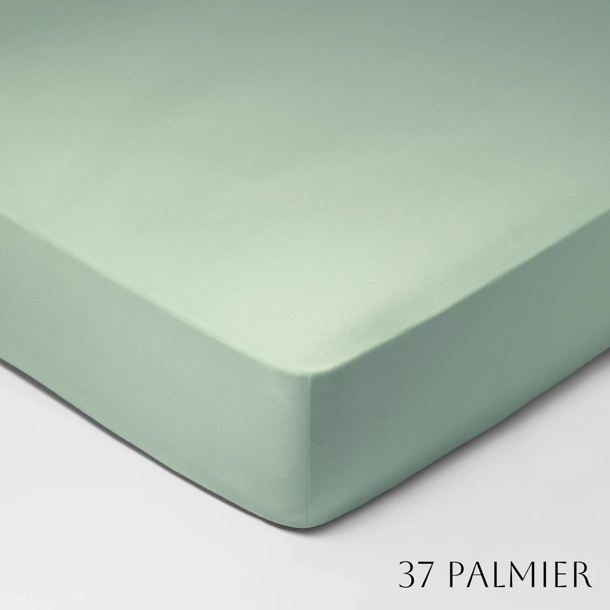 SCHLLOSSBERG�åե��åȥ����ġ�ROYAL FIX 