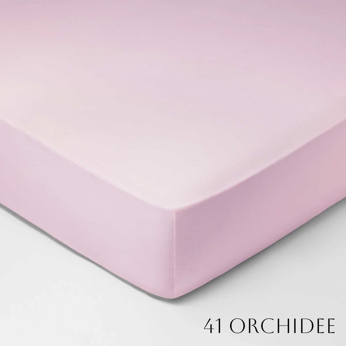 SCHLLOSSBERG�åե��åȥ����ġ�ROYAL FIX 