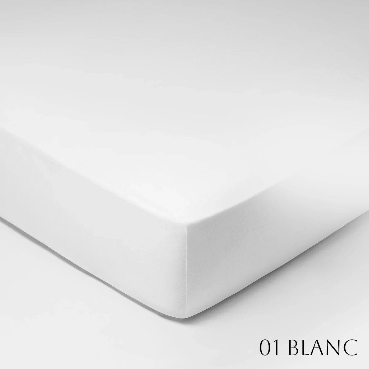 SCHLLOSSBERG�åե��åȥ����ġ�ROYAL FIX 