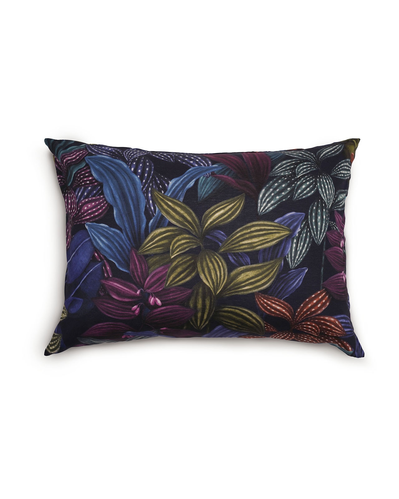 SCHLOSSBERG�������С���50x70�ѡ�ARAMIS