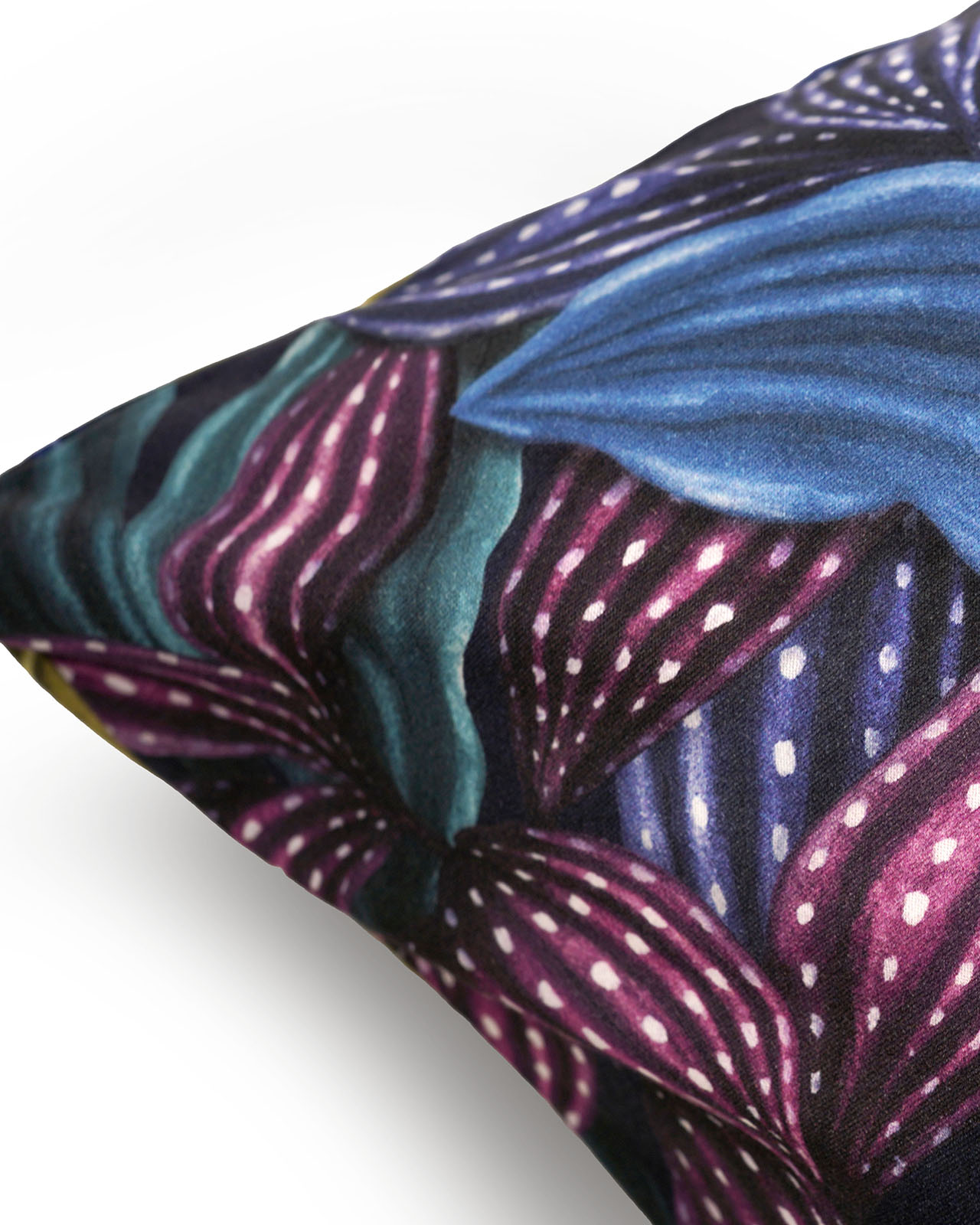 SCHLOSSBERG�������С���50x70�ѡ�ARAMIS