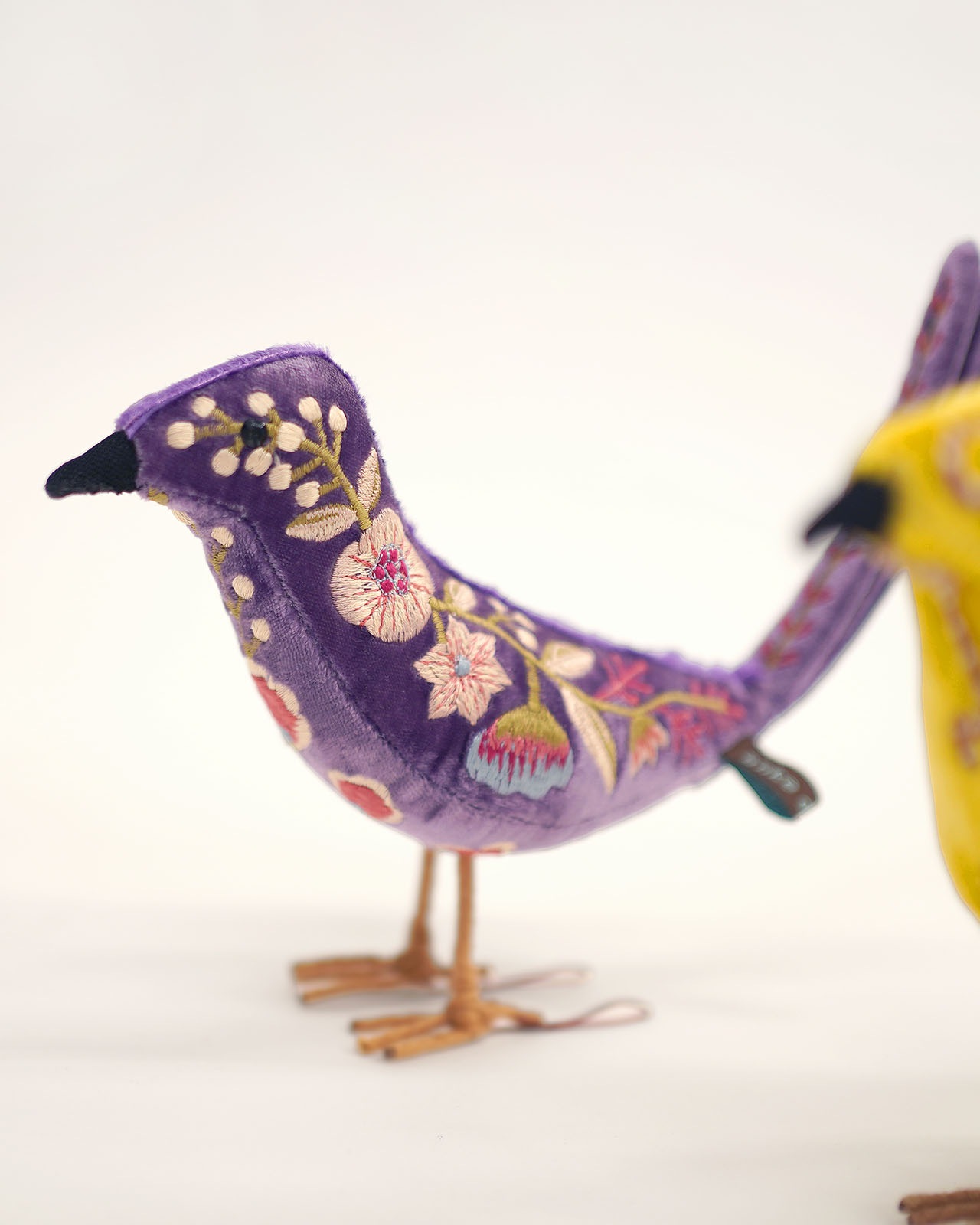 anke drechsel�åե��֥�å��ɡ����Bird�ʥС��ɡ�