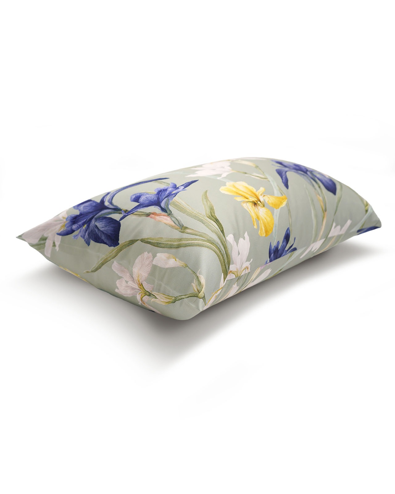 SCHLOSSBERG�������С���50x70�ѡ�CHARLOTTE