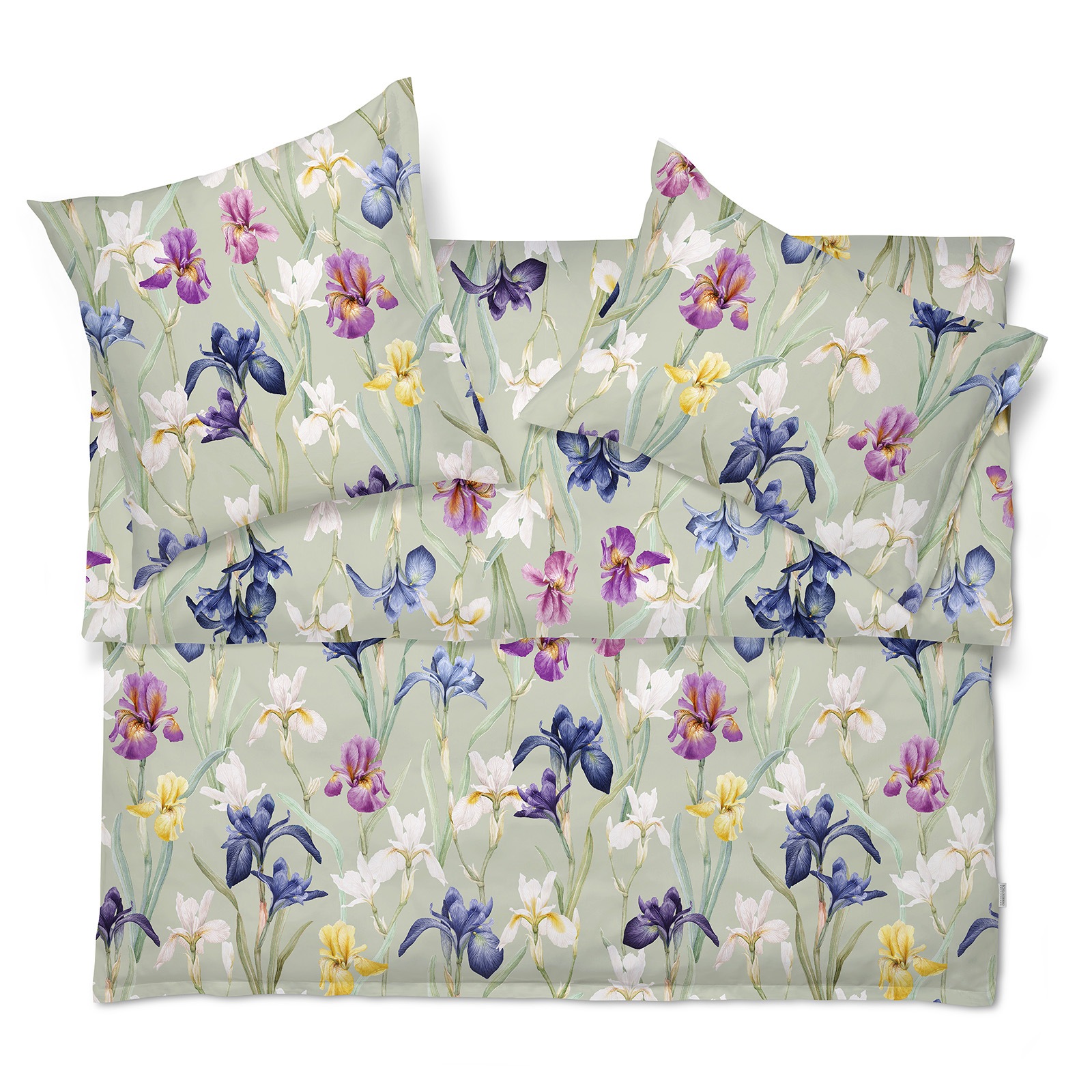 SCHLOSSBERG�������С���50x70�ѡ�CHARLOTTE