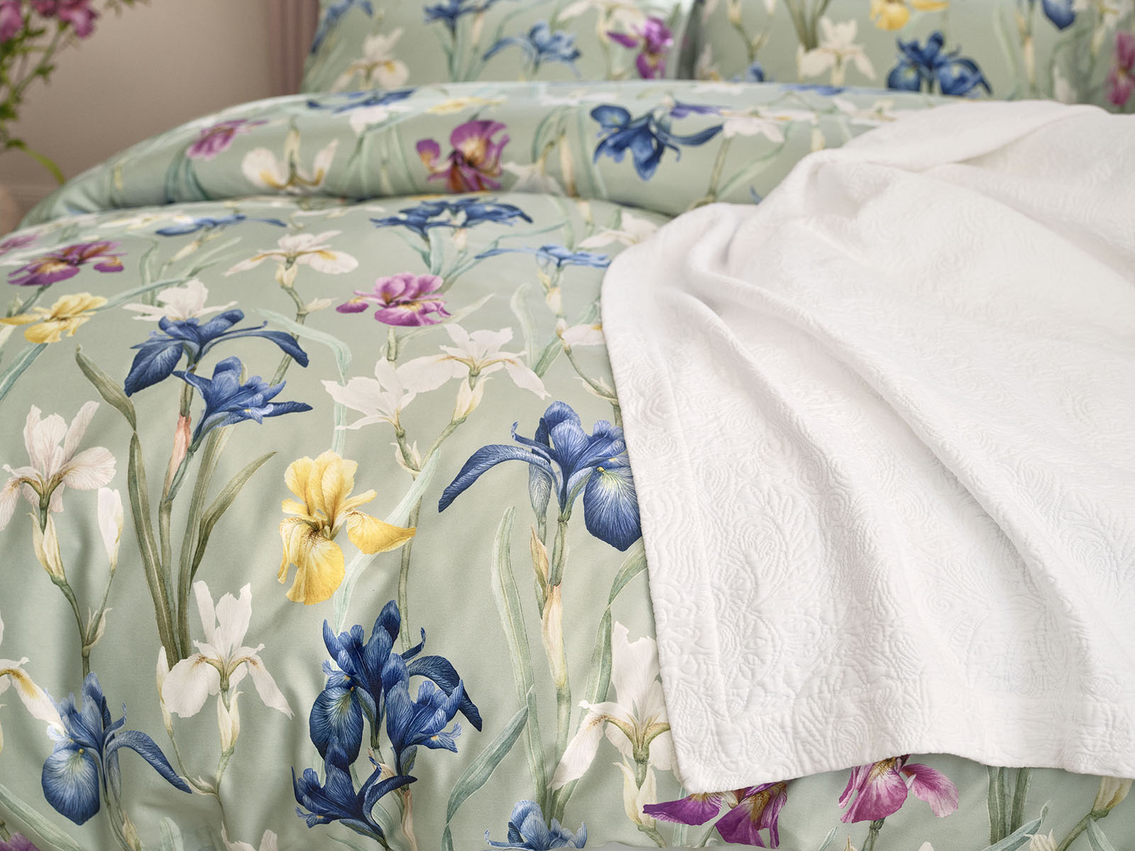 SCHLOSSBERG�óݤ����ĥ��С��å��󥰥� 150x210�ѡ�CHARLOTTE