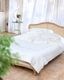 dea�������С���51��71cm�å����ܥ꡼��SAN GALLO EMBROIDERY VOILE