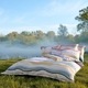 SCHLOSSBERG�óݤ����ĥ��С��å��󥰥� 150x210�ѡ�LINUS N