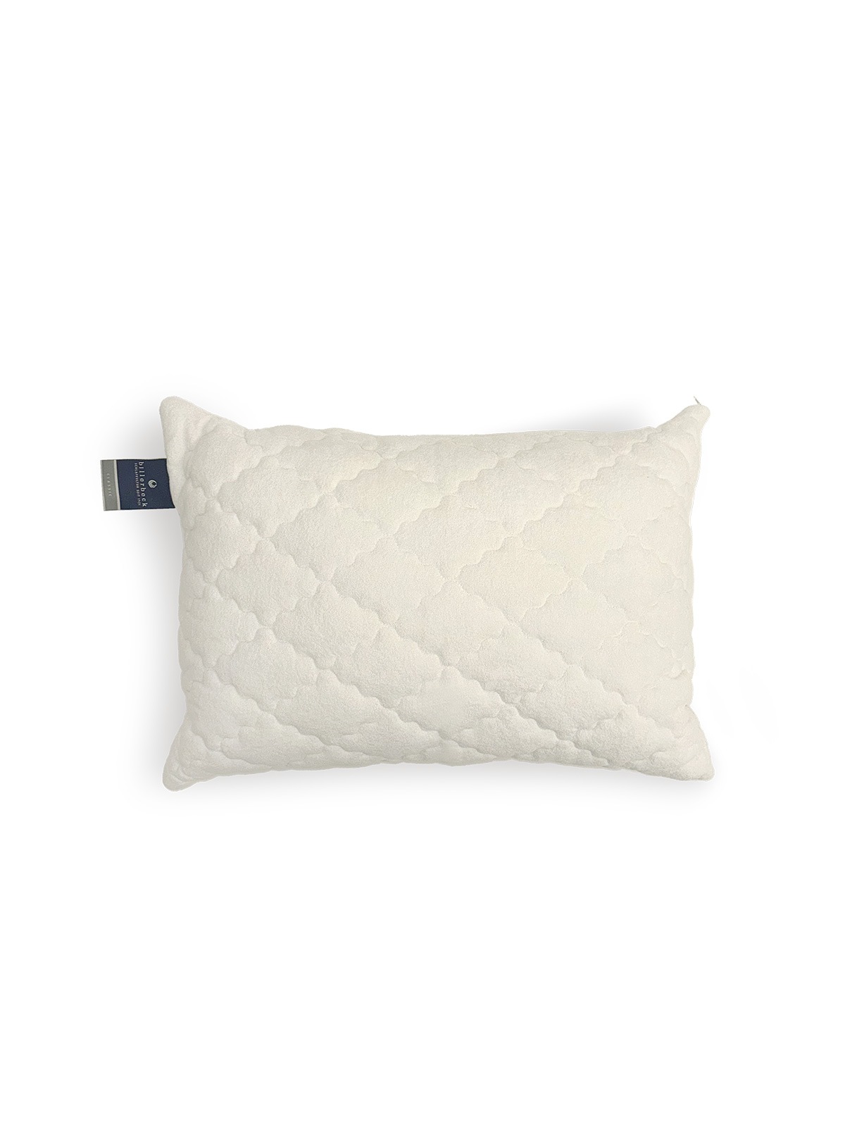 billerbeck�åԥ�����50��70cm��Horse hair pillow�ʥۡ����إ���)