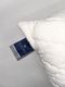 billerbeck�åԥ�����50��70cm��Horse hair pillow�ʥۡ����إ���)