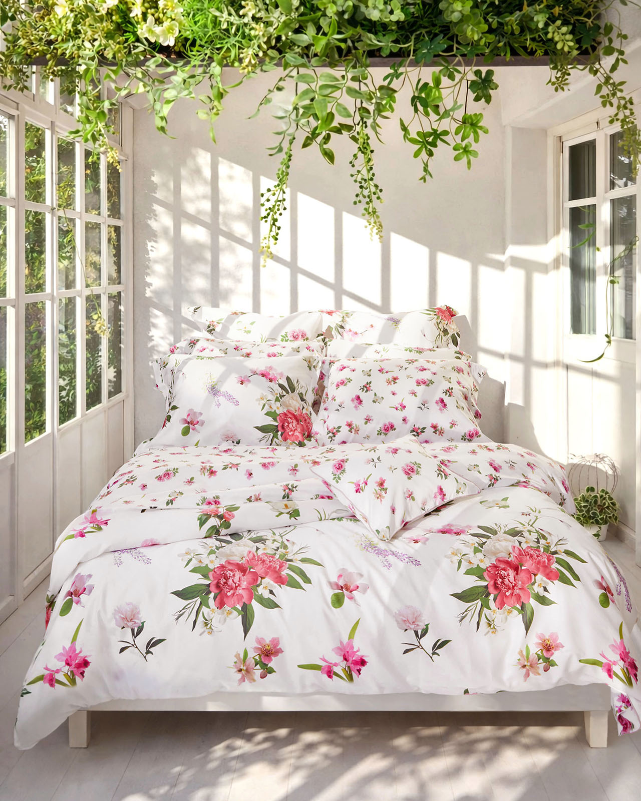 SIGNORIA�������С���51��71cm�åۥ磻�ȡ�VIVACE
