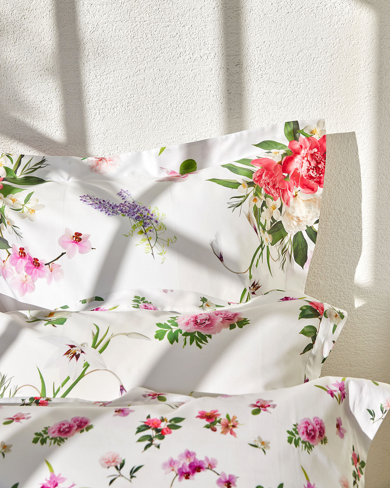 SIGNORIA�������С���51��71cm�åۥ磻�ȡ�VIVACE