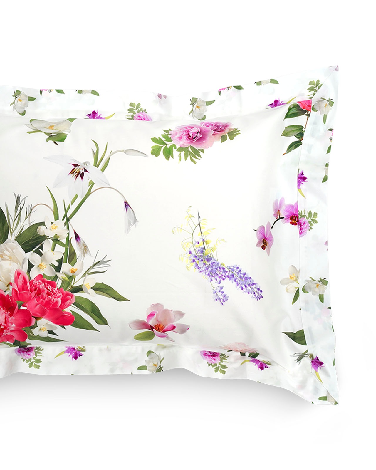 SIGNORIA�������С���51��71cm�åۥ磻�ȡ�VIVACE