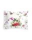 SIGNORIA�������С���51��71cm�åۥ磻�ȡ�VIVACE