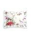 SIGNORIA�������С���51��71cm�åۥ磻�ȡ�VIVACE
