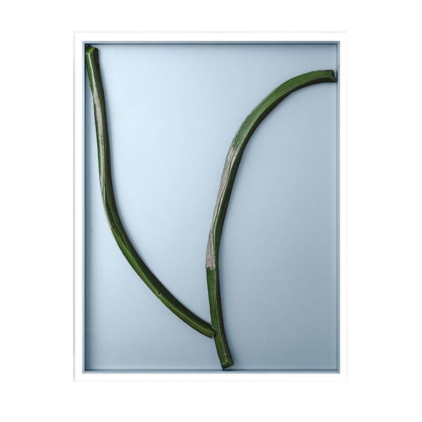 人気★ロナン・ブルレック★正規輸入品★新品未開封★北欧インテリア★4_16 新作☆ロナン・ブルレック☆正規輸入品☆新品未開封☆北欧