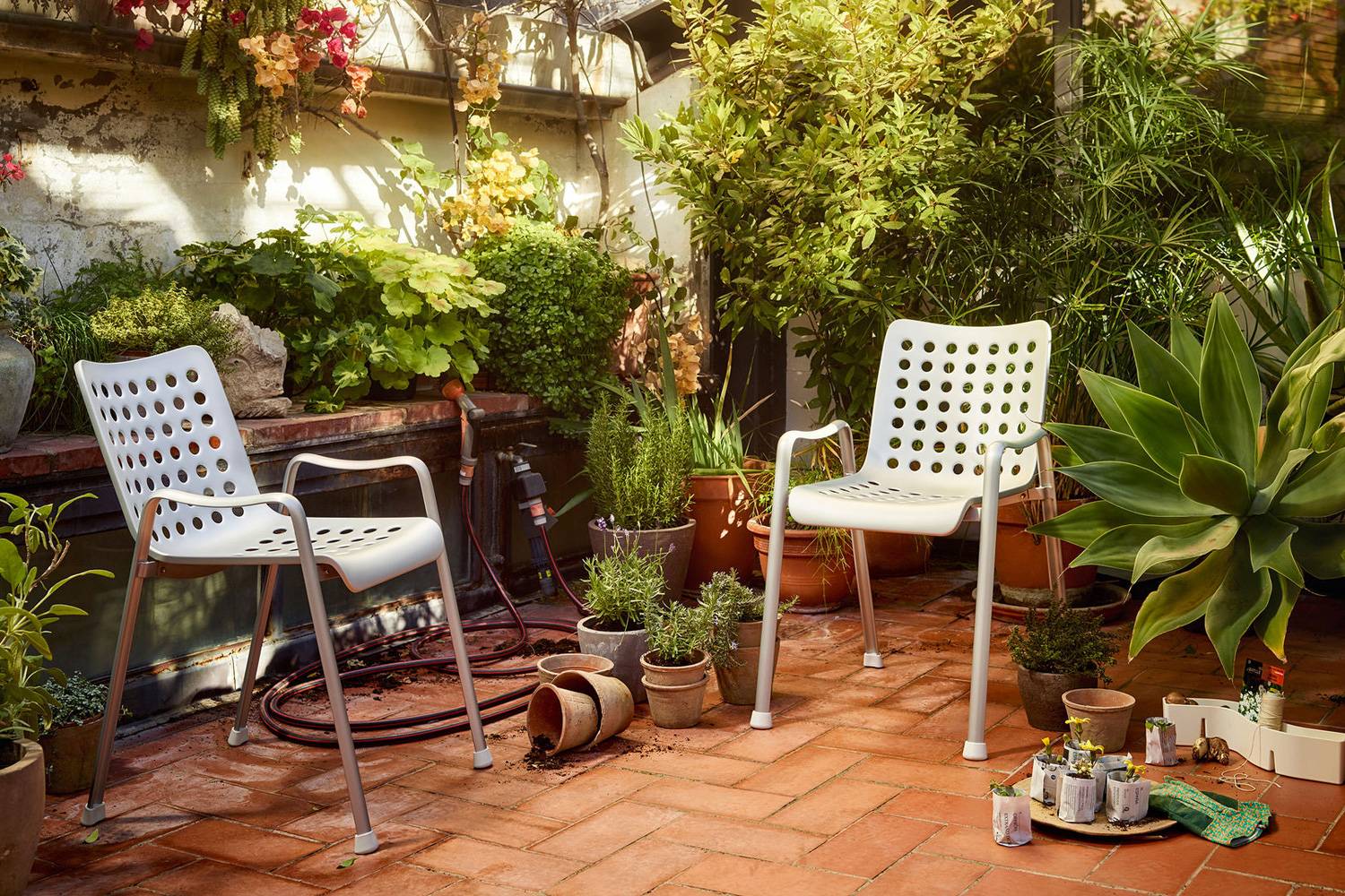 DULTON 本革ランディチェア　1脚 DULTON 本革ランディチェア 1脚 ランディ チェアの通販 | 家具