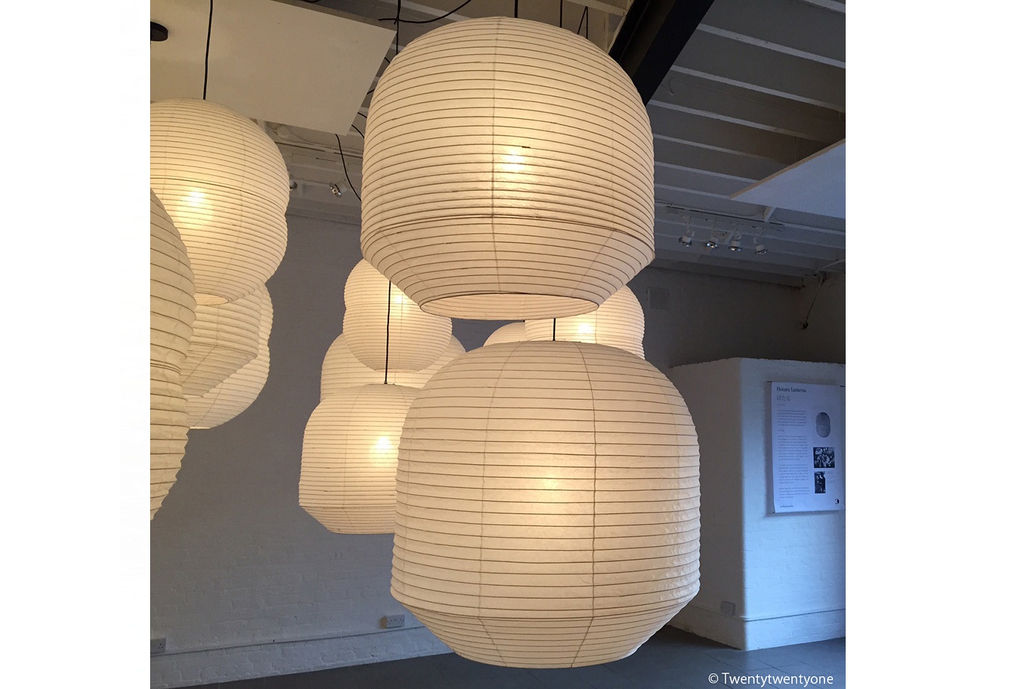 えどほたる BY-S BUOYモデル スモールサイズの通販 | 家具