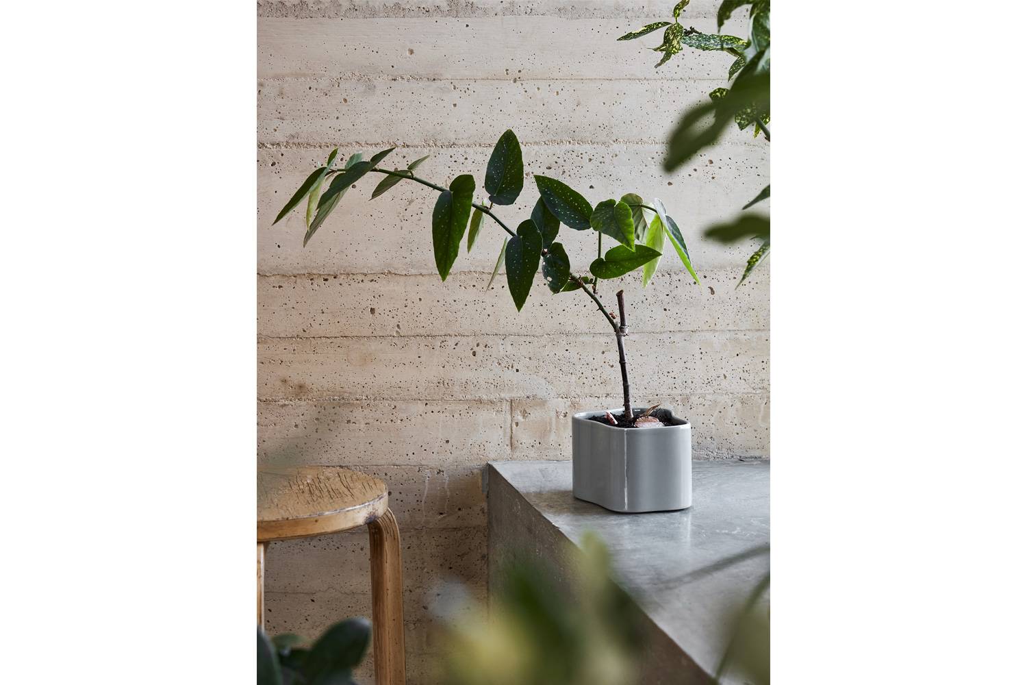 artek アルテック　アアルト　リーヒティエ プラント ポット ライトグレー Artek アルテック Riihitie Plant Pot リーヒティエ プラント ポット A