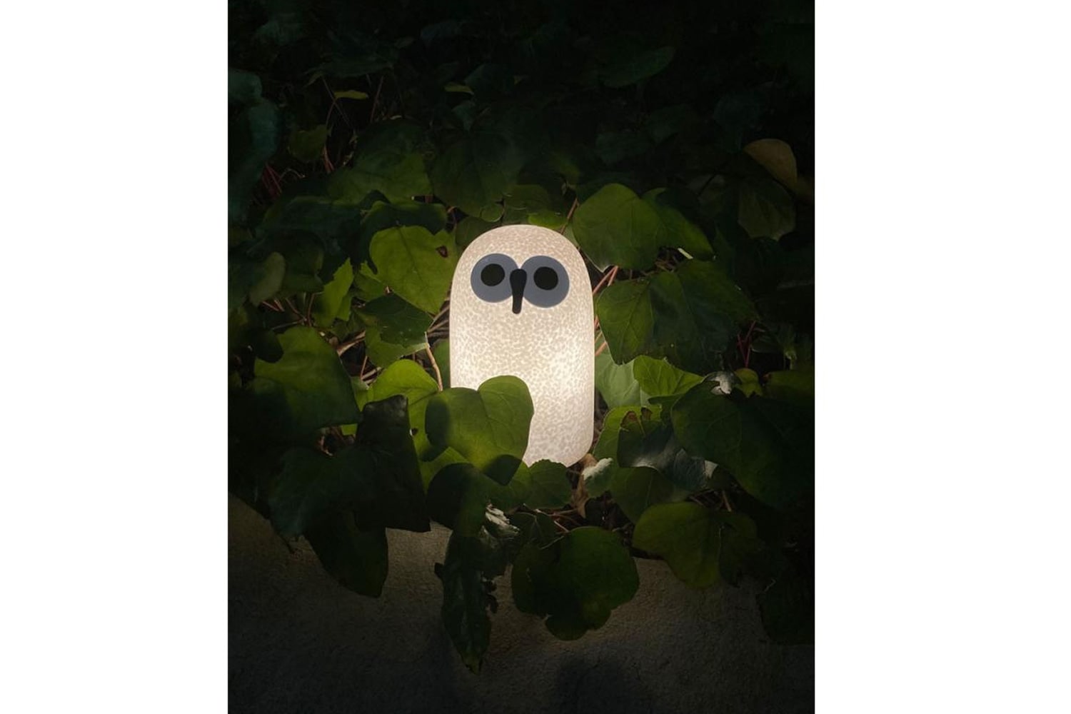 リンナット SULO