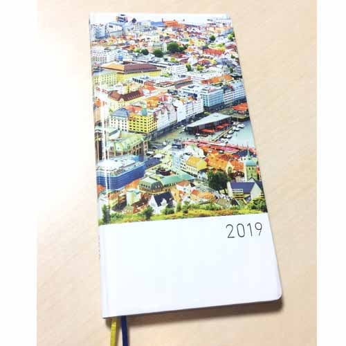 坂本真綾×ほぼ日手帳2019 weeks １月はじまり版