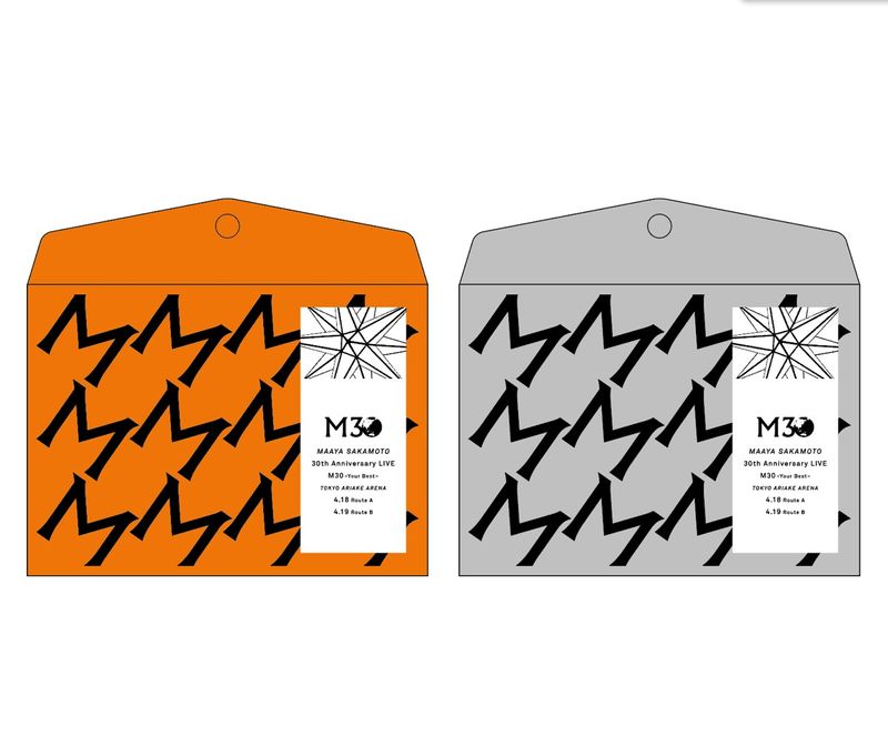 M30 ドキュメントケースセット