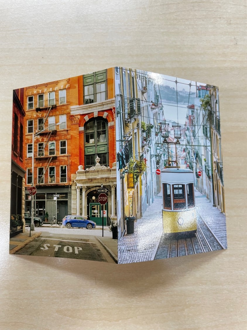 坂本真綾 ほぼ日手帳 2026 weeks spring ４月はじまり版