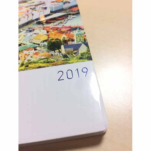 坂本真綾×ほぼ日手帳2019 weeks １月はじまり版