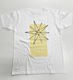 M30 Tシャツ白 星クリーム