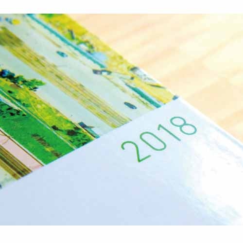 坂本真綾×ほぼ日手帳2018  weeks 1月はじまり版