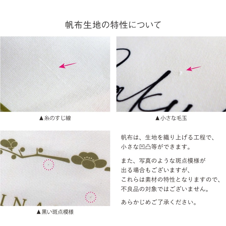 名入れ 端午の節句タペストリー(ローマ字のみ)